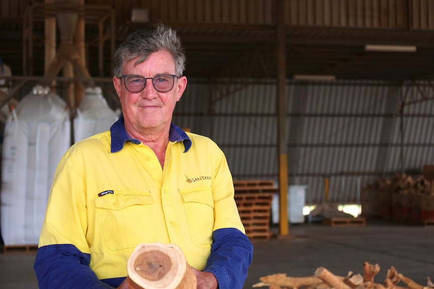 A man wearing fluoro yellow shirt holding log of wood in a shed