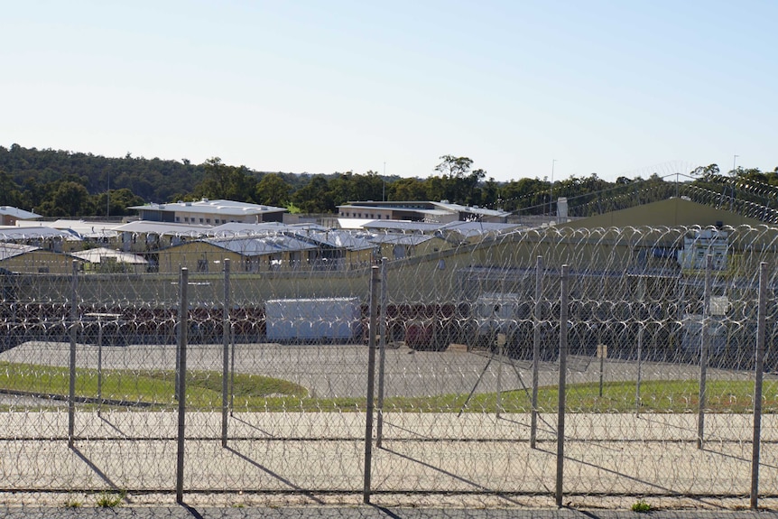 Wide shot of buildings in Acacia Prison, with barbed wire fences in the foreground and bushland behind the prison.