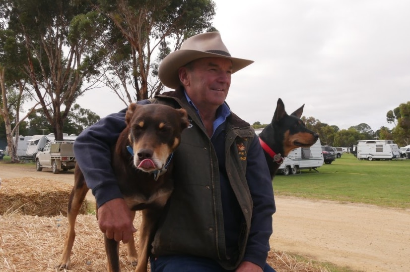 A man sits wearing a blue jumper and green vest sits on a hay bale with two dogs.