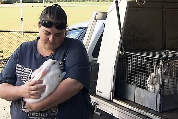 Kara Jackson found the rabbits slaughtered on her farm