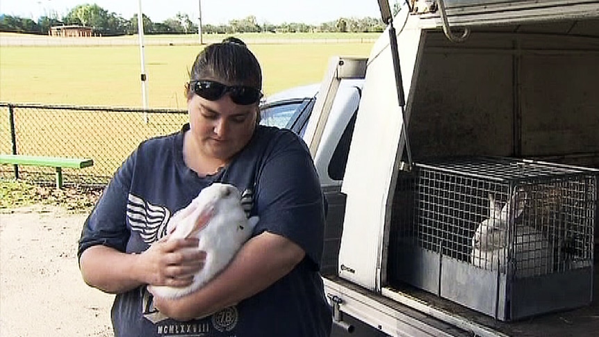 Kara Jackson found the rabbits slaughtered on her farm