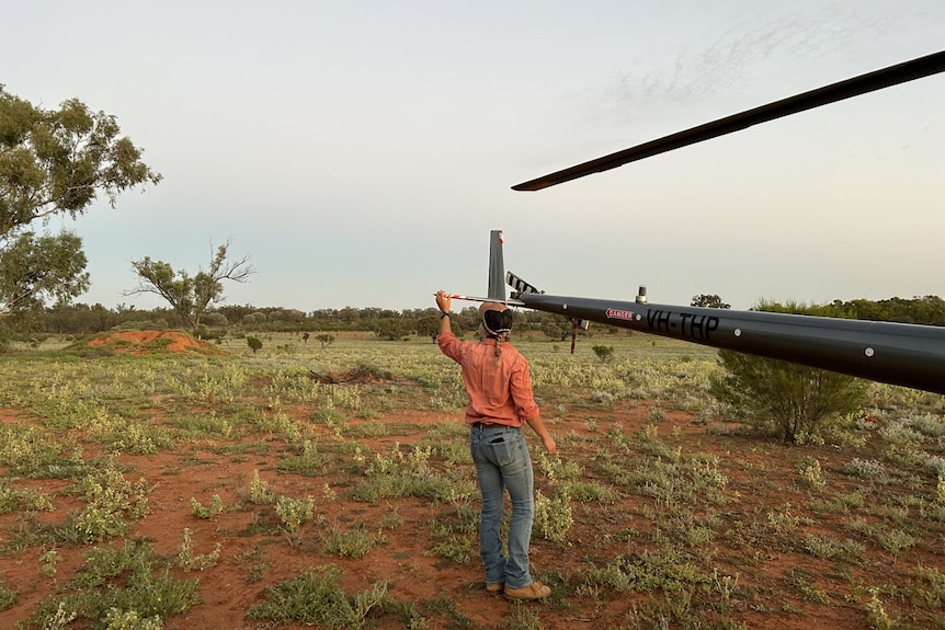 A woman in peach shirt, jeans, cap, back to camera, checks tail of helicopter on red soil, some grass, pale blue sky, clouds.