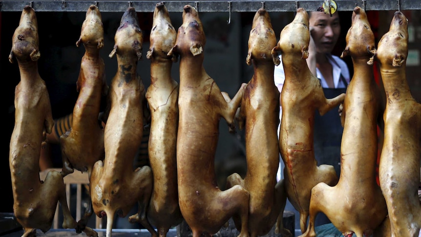 Butchered dogs are displayed at a vendor's stall at a dog meat market.