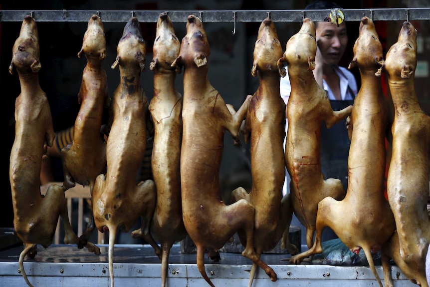 Butchered dogs are displayed at a vendor's stall at a dog meat market.