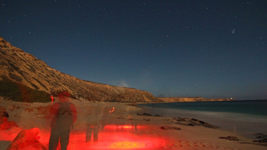 A small group of women walking along a beach at night.