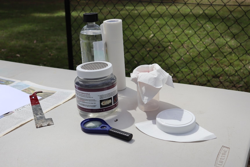 A jar, strainer, magnifying glass kit.