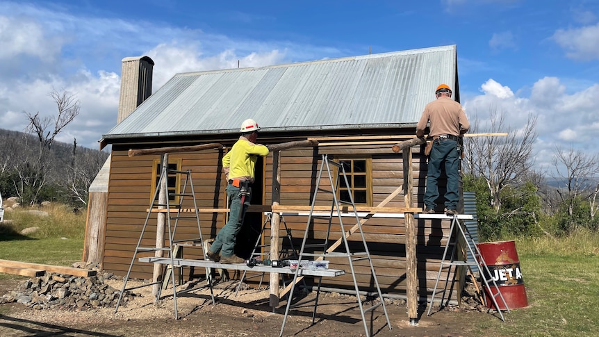 Delaneys Hut 2