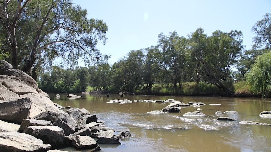 Trees and rocks line a wide flowing river.