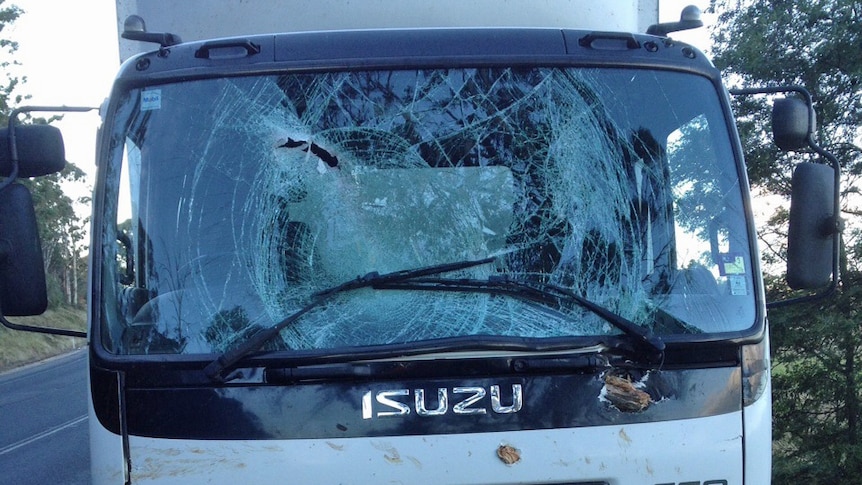 The truck struck by a falling tree at Elizabeth Town in Tasmania's north on Friday March 6