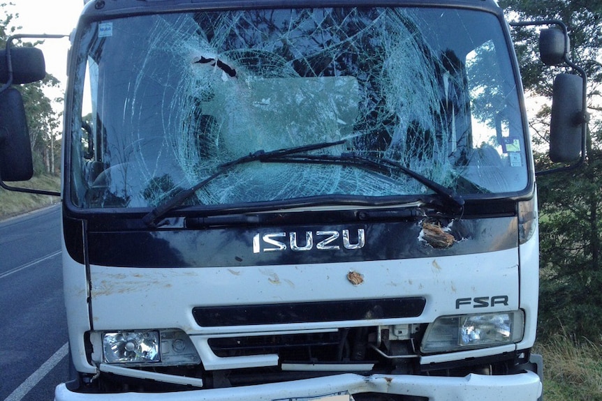 The truck struck by a falling tree at Elizabeth Town in Tasmania's north on Friday March 6