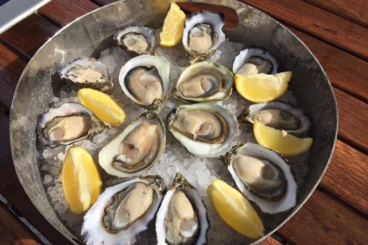 A bowl full of Pacific oysters.