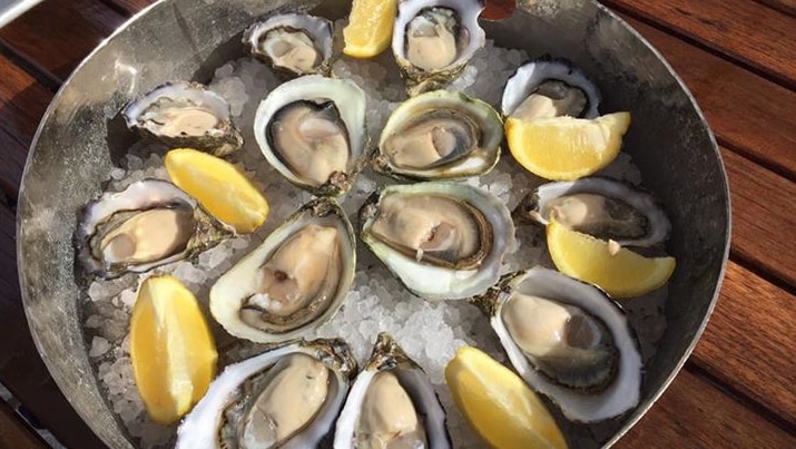 A bowl full of Pacific oysters.