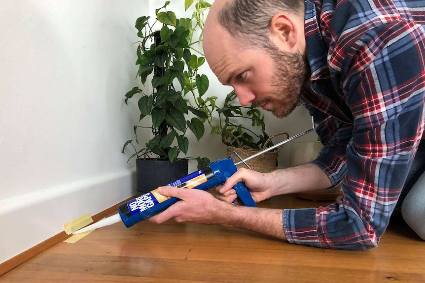 A man uses gap-filler between the floor and skirting board, to create a greenhouse environment for indoor plants.