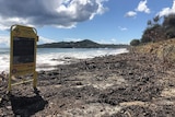 Leaf litter covers Byron Bay's maon beach and a sign warns of submerged rocks.