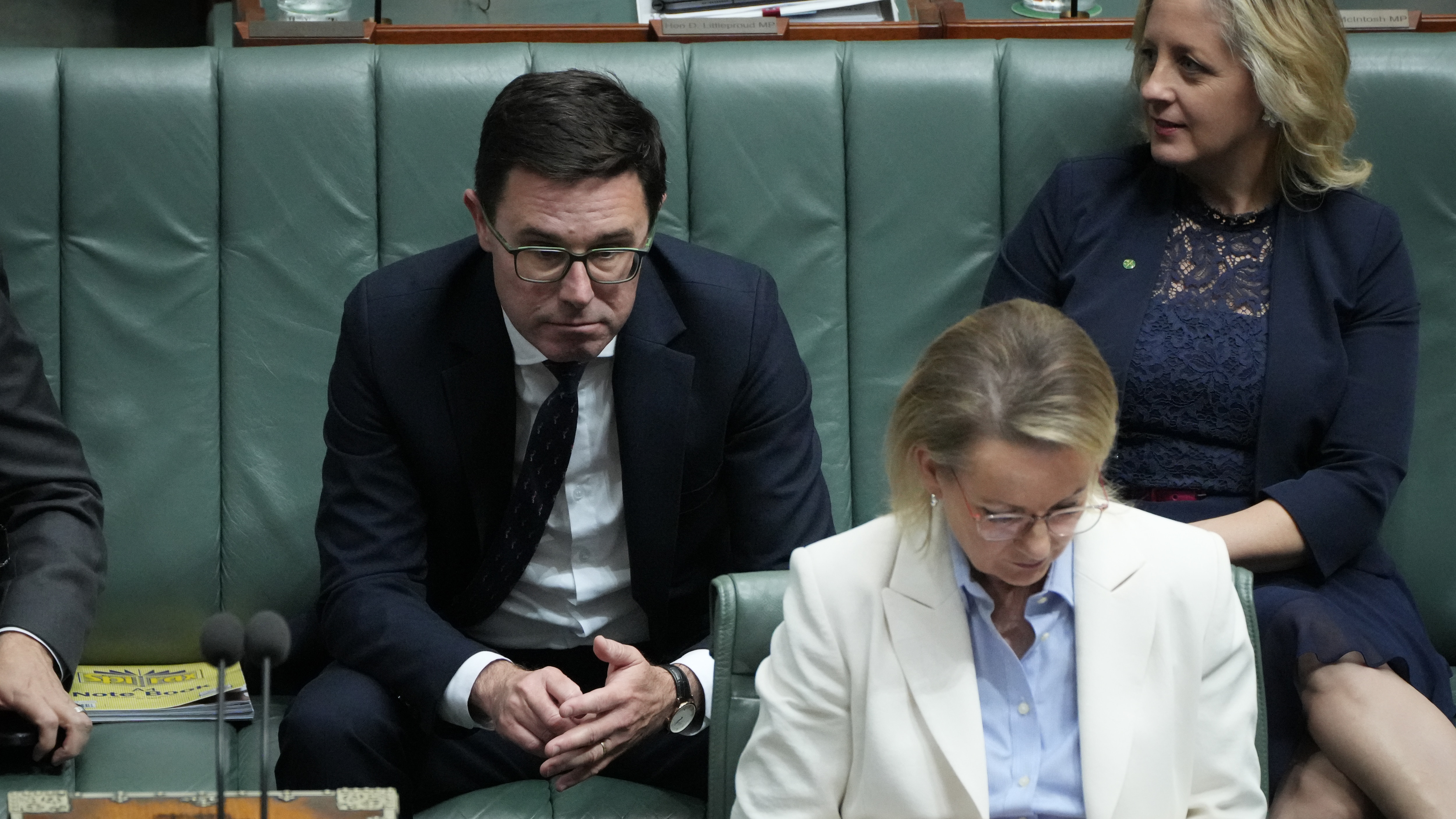 David Littleproud e Susan Ley