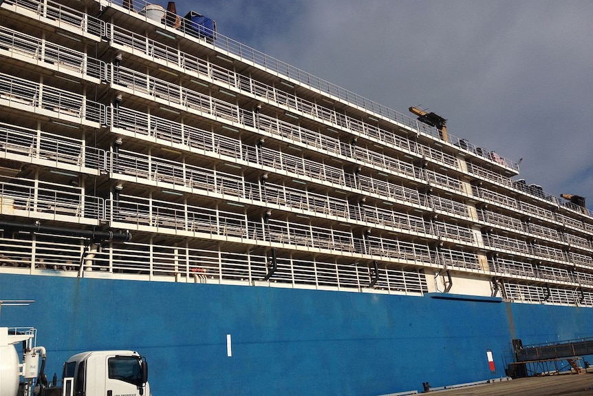 A massive livestock transport ship