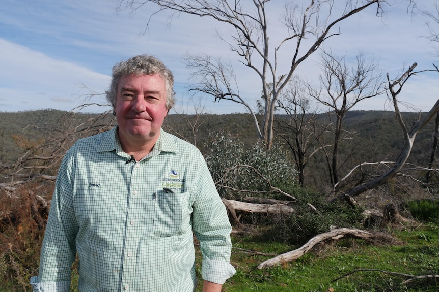A man stands in front of patches of burnt and unburnt bushland.