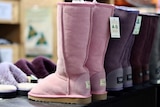 Pink and purple ugg boots sit on a shelf.