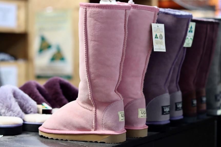 Pink and purple ugg boots sit on a shelf.