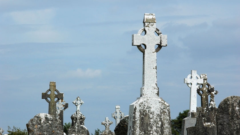 Tombstones in a cemetery