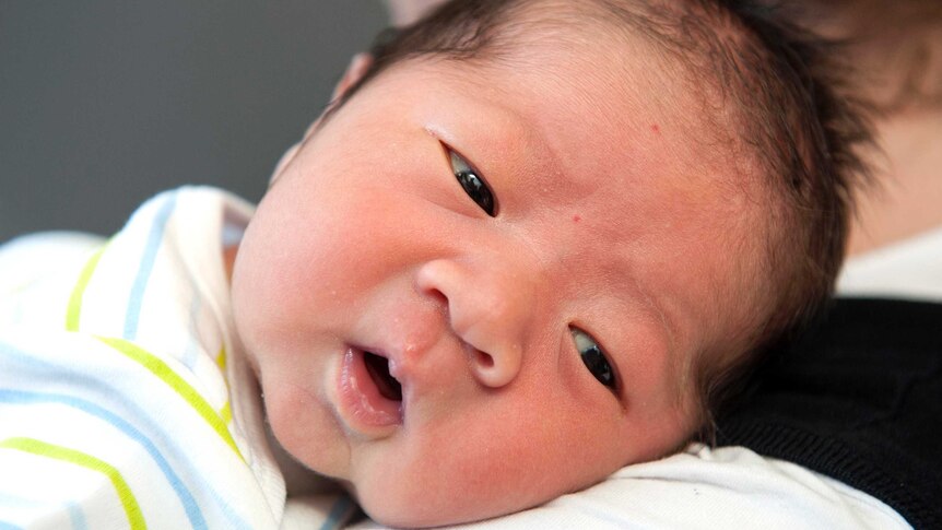 Baby Ahn, who was born at Canterbury Hospital on March 5, 2013. The baby’s mother left the hospital shortly after the birth of her son and did not return.