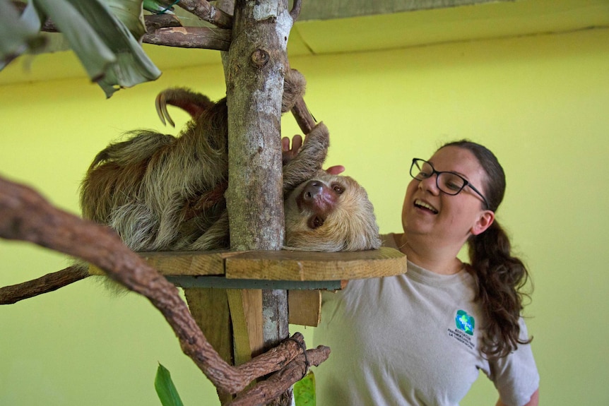 Raquel stands next to a Angel, a two-toed sloth.