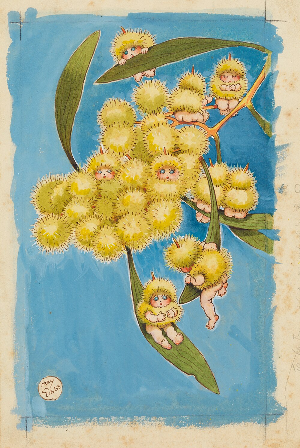 Gumnut Babies turn 100, May Gibbs' famous series celebrated in Sydney