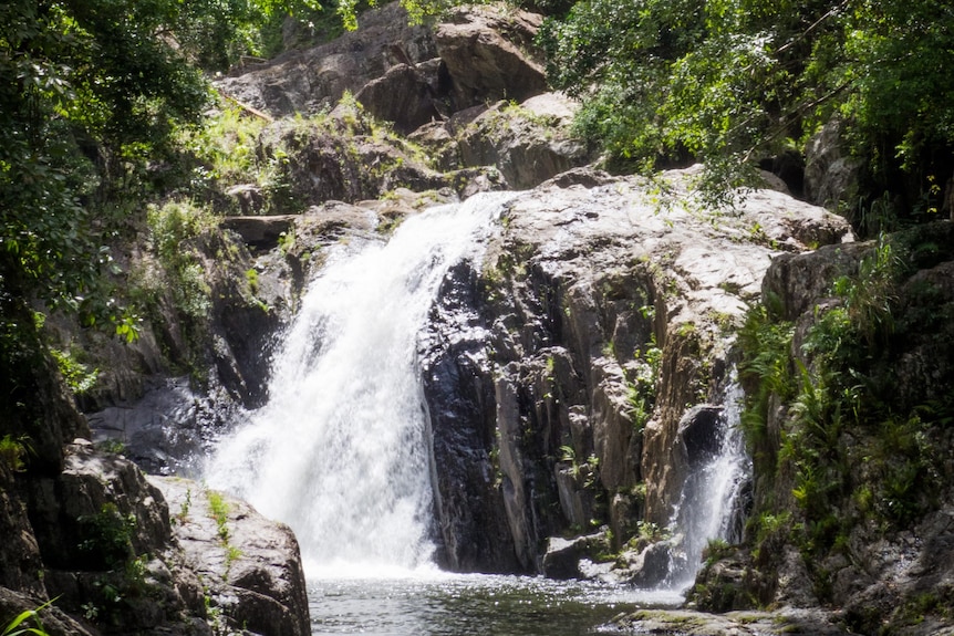 Water falling down a rock face into a small pool with tropical vegetation on either side.