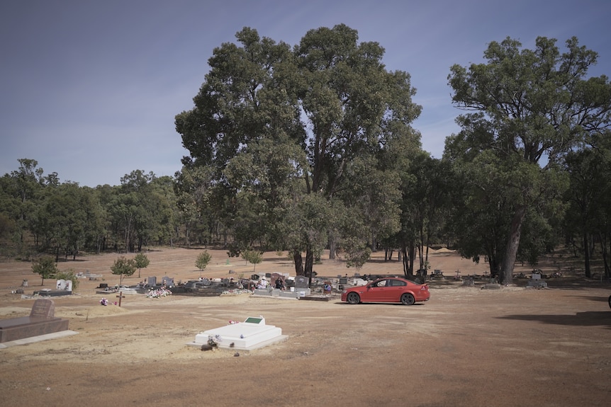 Wide shot of a cemetary with a red car parked. The ground is red dirt and there is a large shade tree in the centre