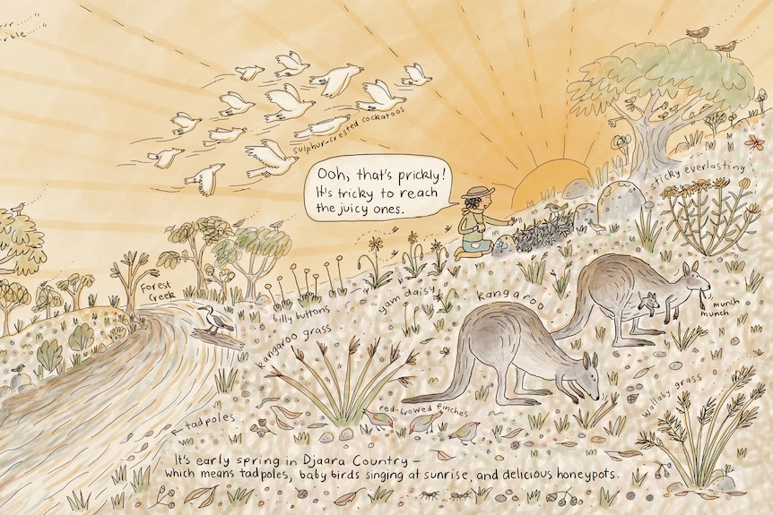  Illustrations featuring Australian animals and two children called Wingo and Miri set in a natural bush landscape.