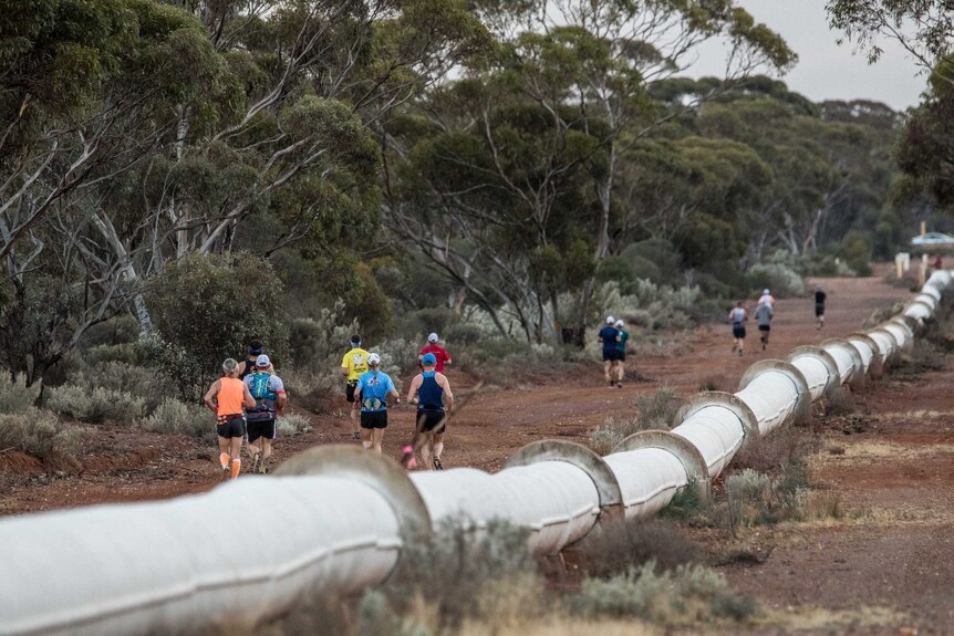 Runners next to Goldfields Water Pipeline
