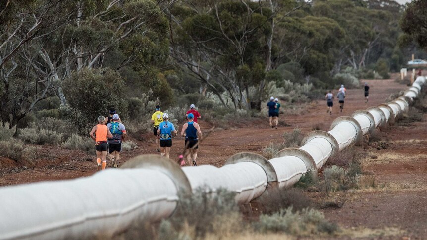 Runners next to Goldfields Water Pipeline