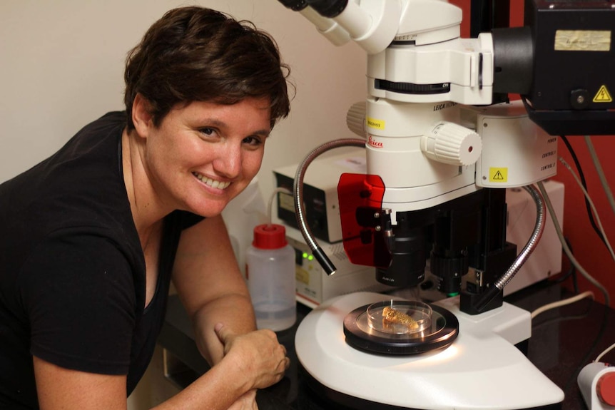 A woman looks at  apiece of coral through a microscope