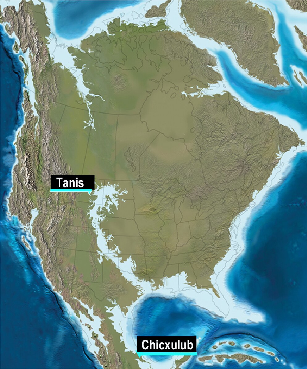 map showing north america 65 million years ago