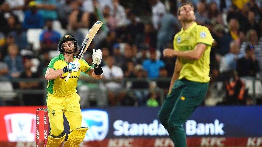 An Australian batsman looks skywards as the South African bowler turns and looks up to watch a six.