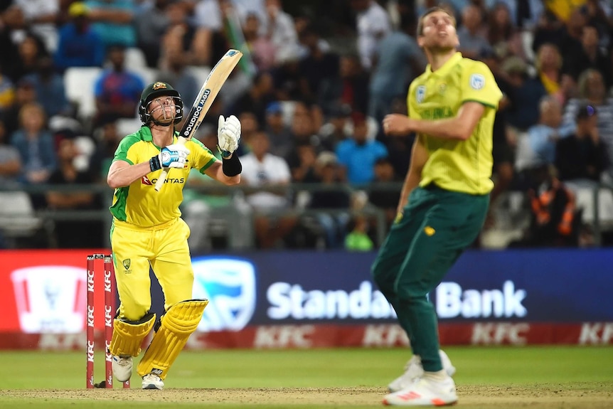 An Australian batsman looks skywards as the South African bowler turns and looks up to watch a six.