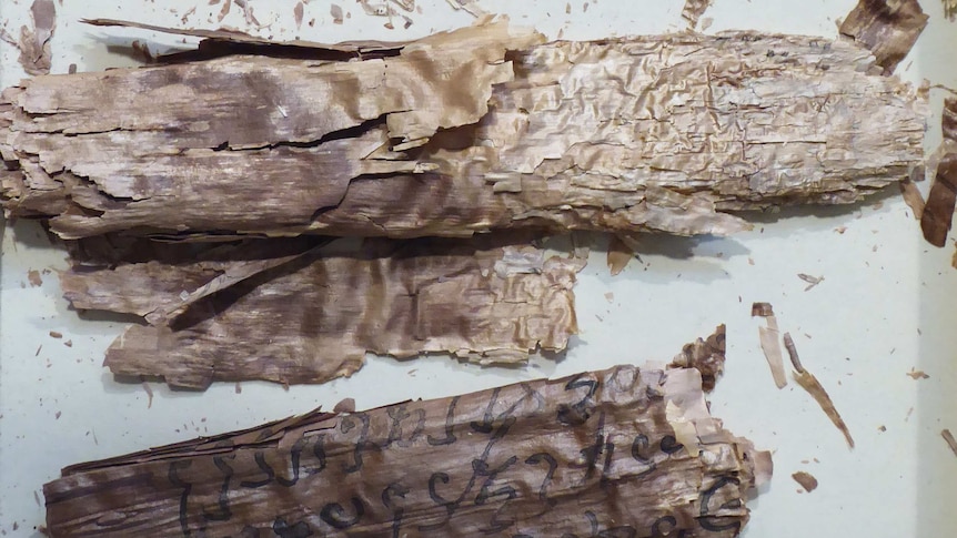 The ancient birch bark scrolls are fragmentary and very thin.