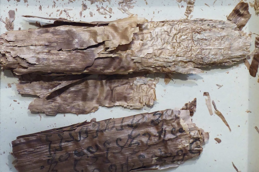 The ancient birch bark scrolls are fragmentary and very thin.