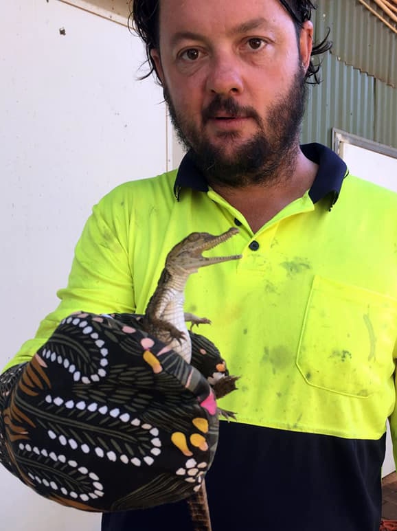 Paul Marshall holds a baby croc in an oven mitt in front of him. It's about 30cm long.