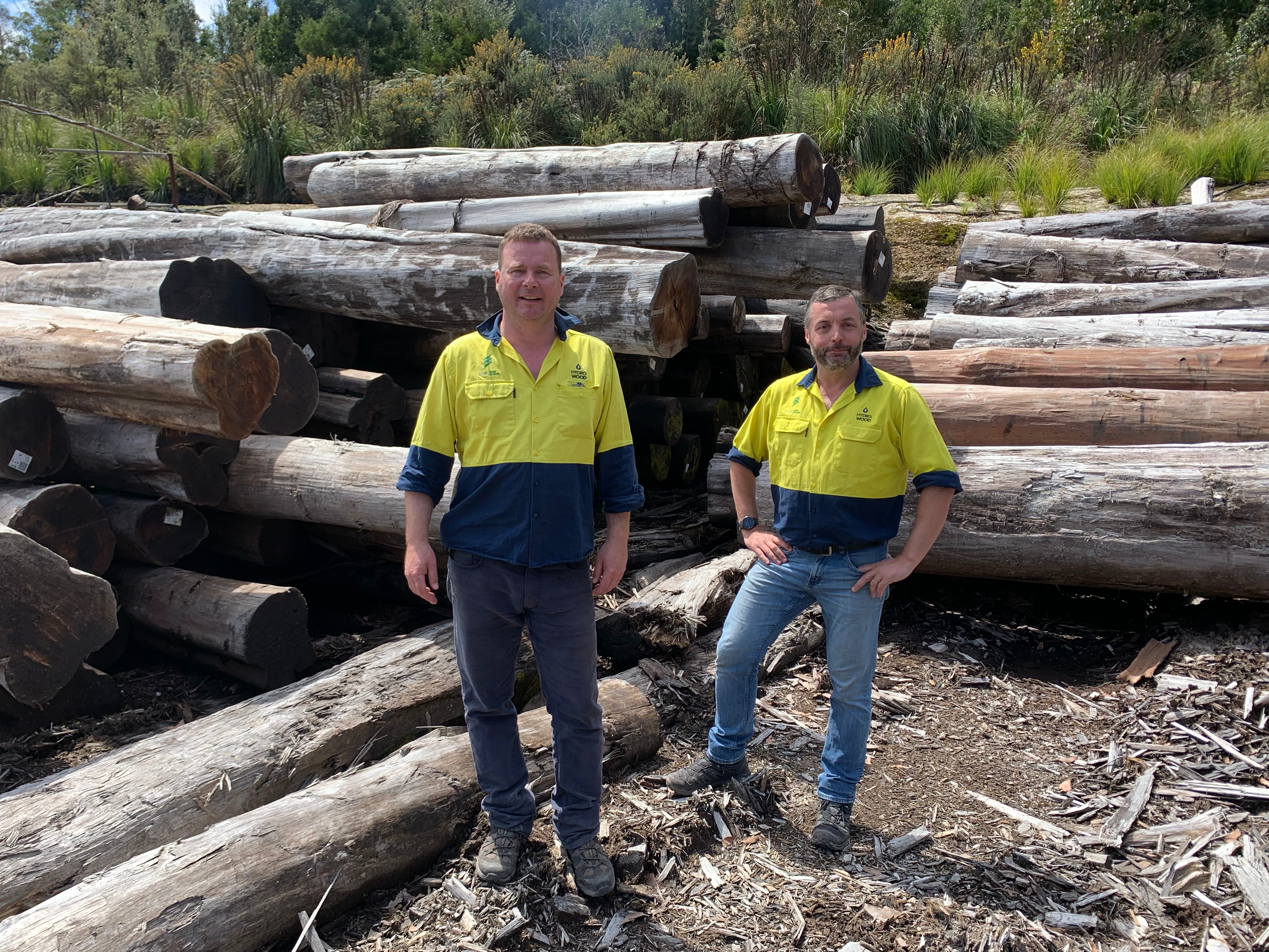 Two men wearing high visibility clothing standing in front of a pile of large timber logs. 