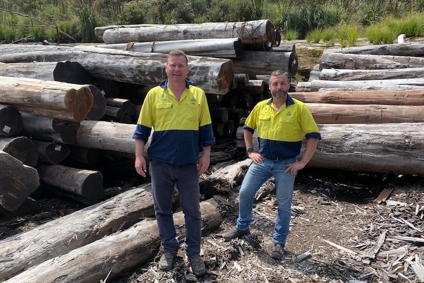 Two men wearing high visibility clothing standing in front of a pile of large timber logs. 