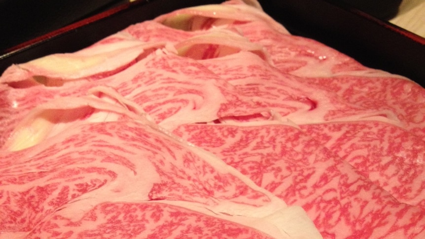 Wagyu beef