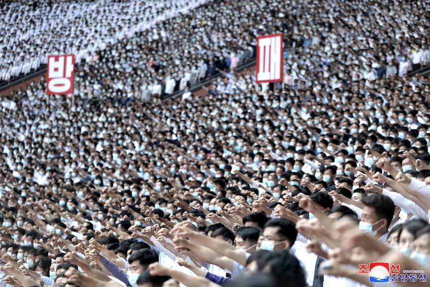 A crowd standing in the stands of a stadium, most of them holding an arm outstretched with a clenched fist. Some hold signs