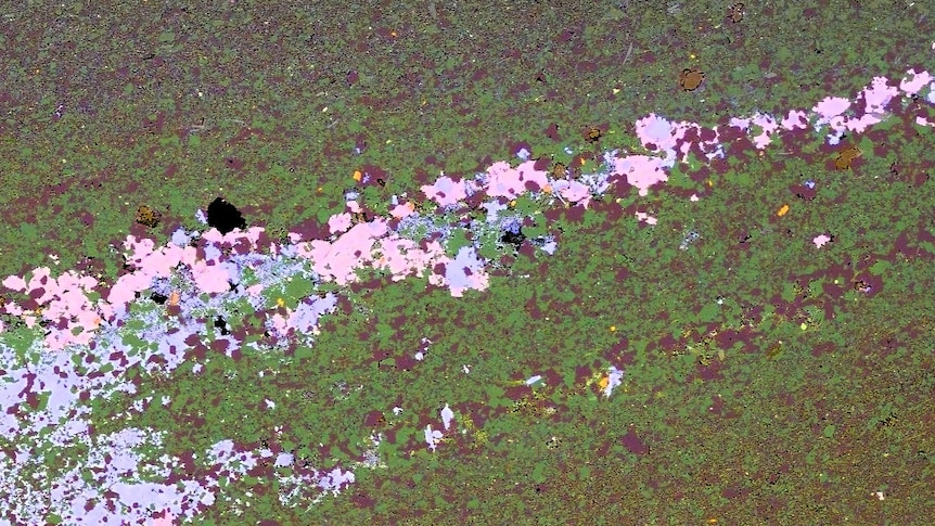 A computer image showing evidence of zinc