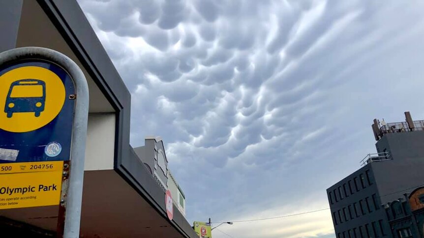 Mammatus clouds in the background with a Sydney Olympic Park bus stop sign in the foreground