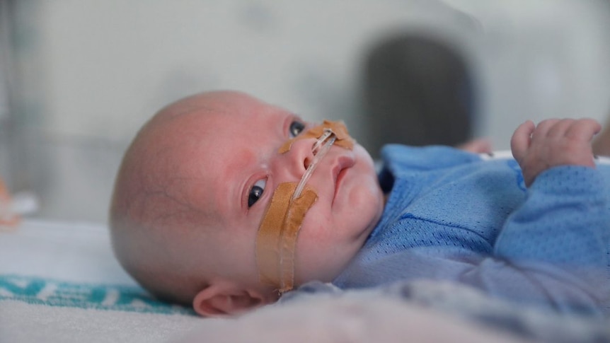 A small baby boy lies in an incubator with tubes in his nose.