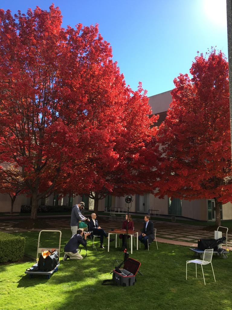 Camera crew and presenters filming under bright red tree outside Parliament House.