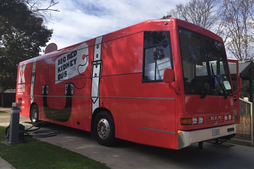 Big Red Kidney Bus parked at a Mildura caravan park