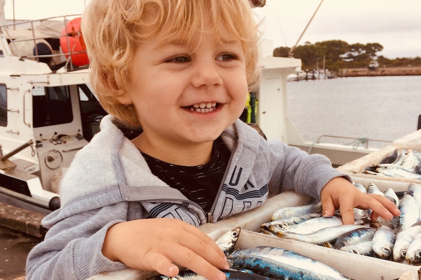 A toddler grins next to a big catch of sardines. The photo is close on his face