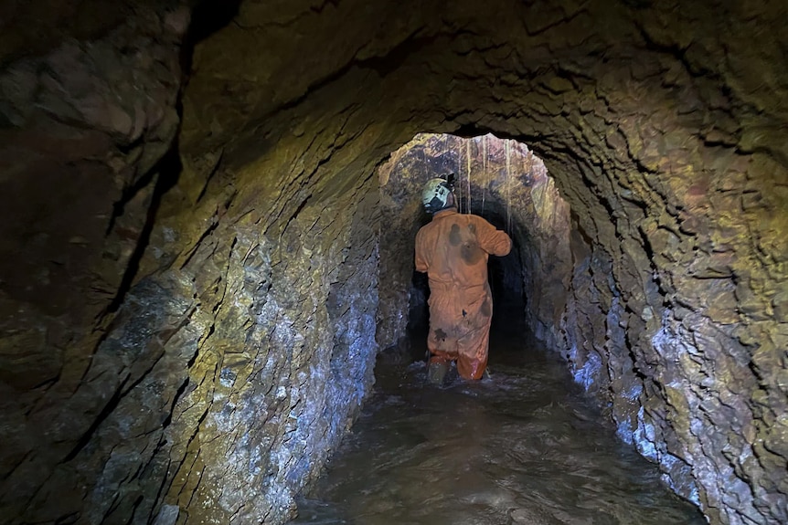 a man standings in knee-deep water in a tunnel in an underground mine.